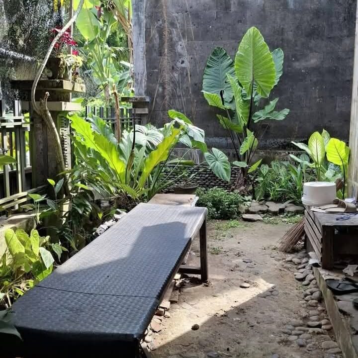 WhatsApp Image 2025-02-11 at 10.55.37 (2)