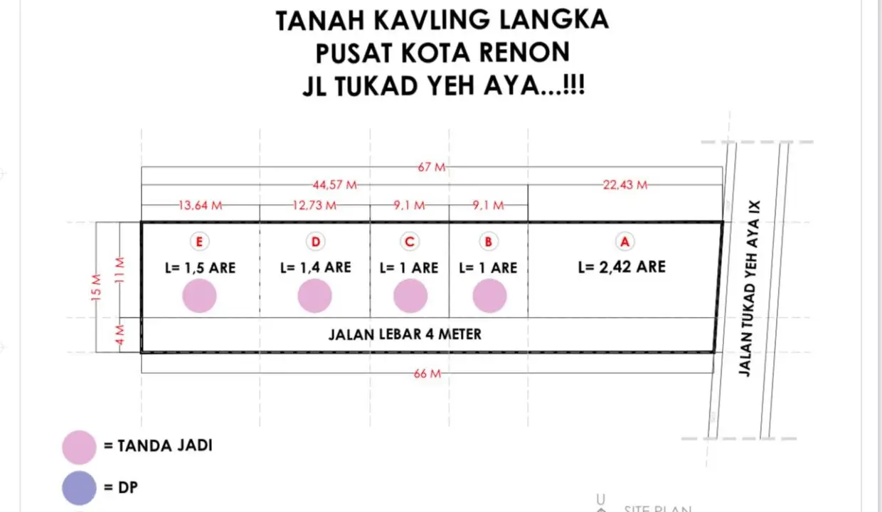 WhatsApp Image 2025-02-12 at 1.20.50 PM - Copy