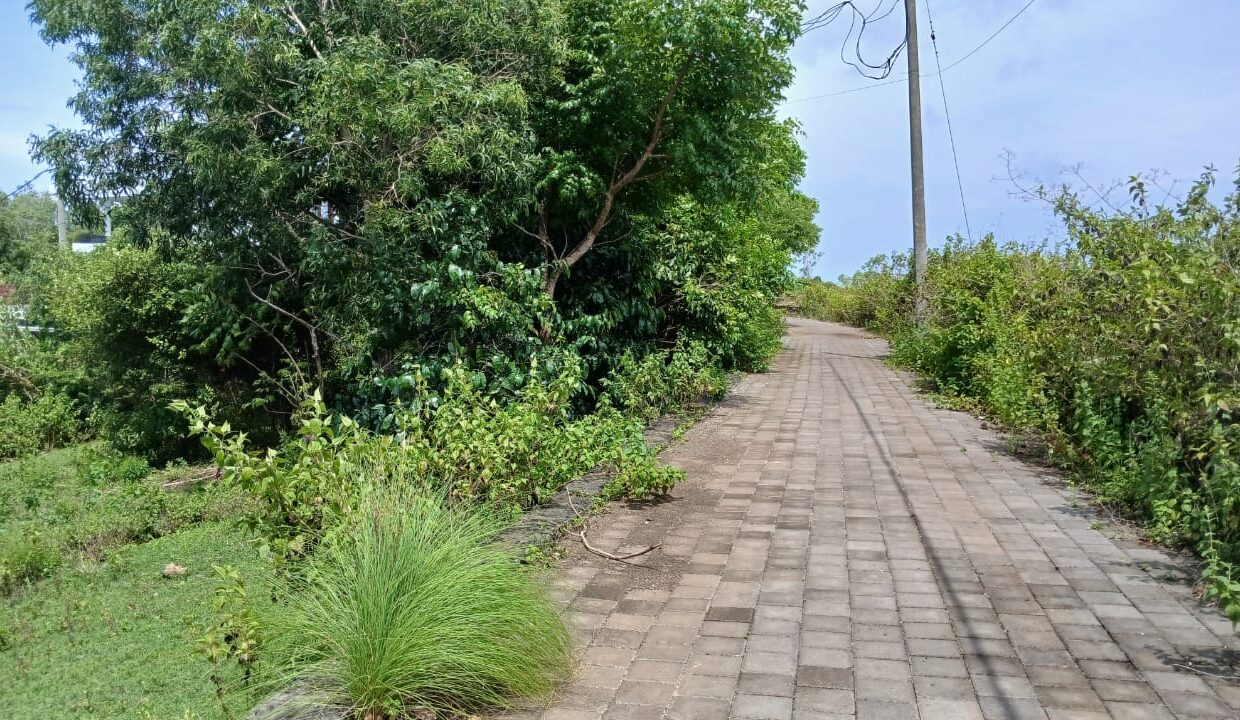 WhatsApp Image 2025-03-19 at 5.18.52 PM (1)