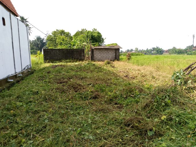 Dijual Tanah di Darmasaba, Badung