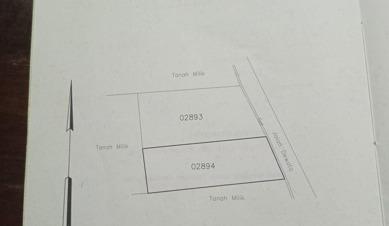 WhatsApp Image 2025-08-19 at 10.21.12 AM (1)