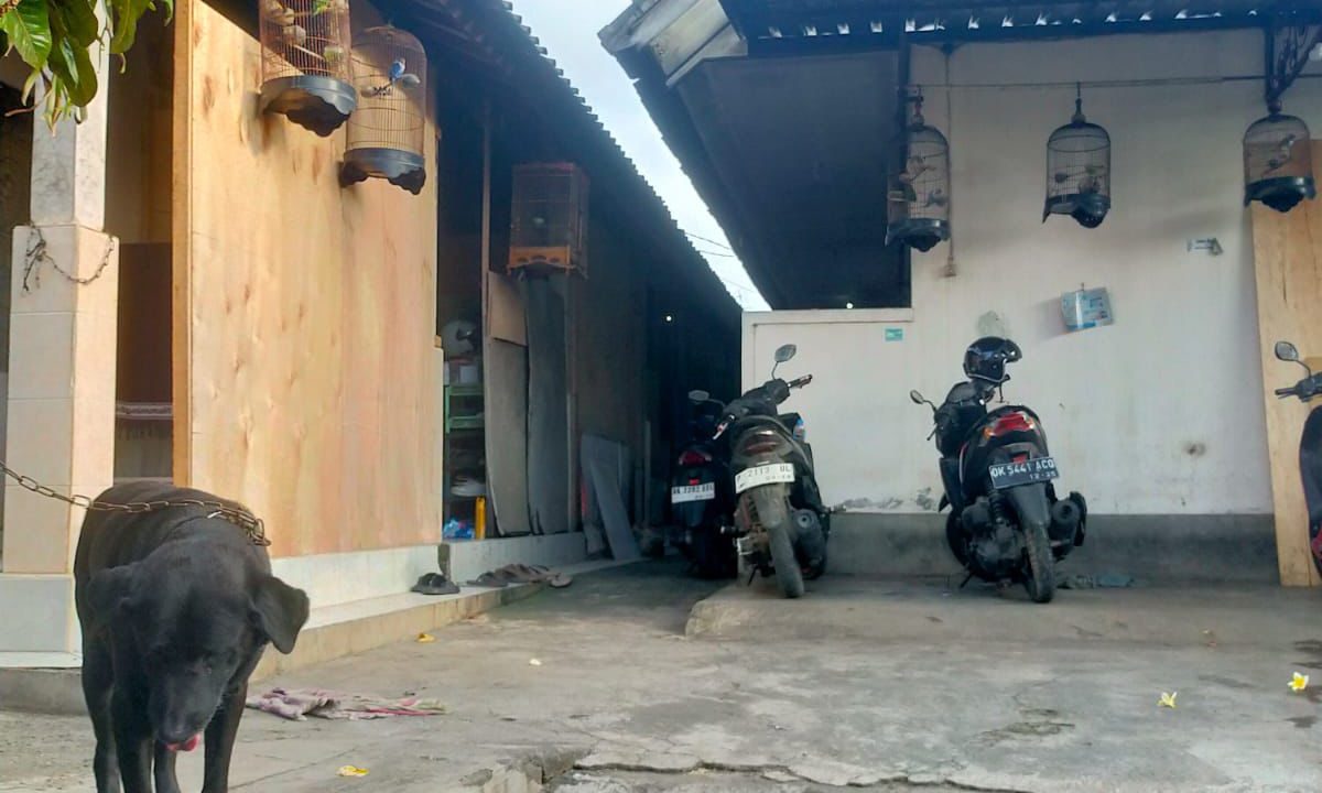 WhatsApp Image 2025-08-19 at 7.34.33 PM