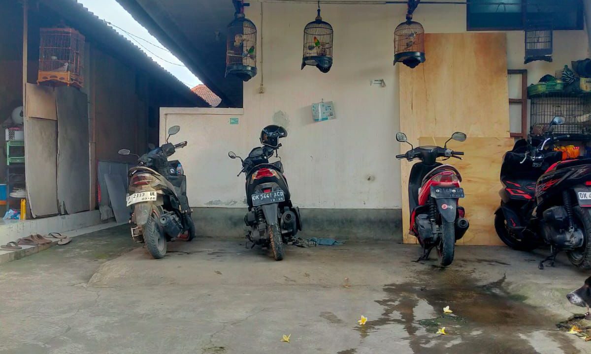 WhatsApp Image 2025-08-19 at 7.34.34 PM (1)