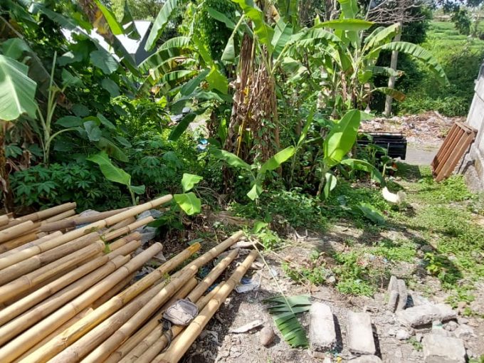 Dijual Tanah Murah Ready SHM Jl. Kebo Iwa, Denpasar Barat