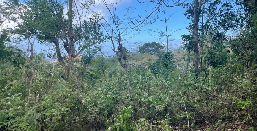 land for sale in pecatu
