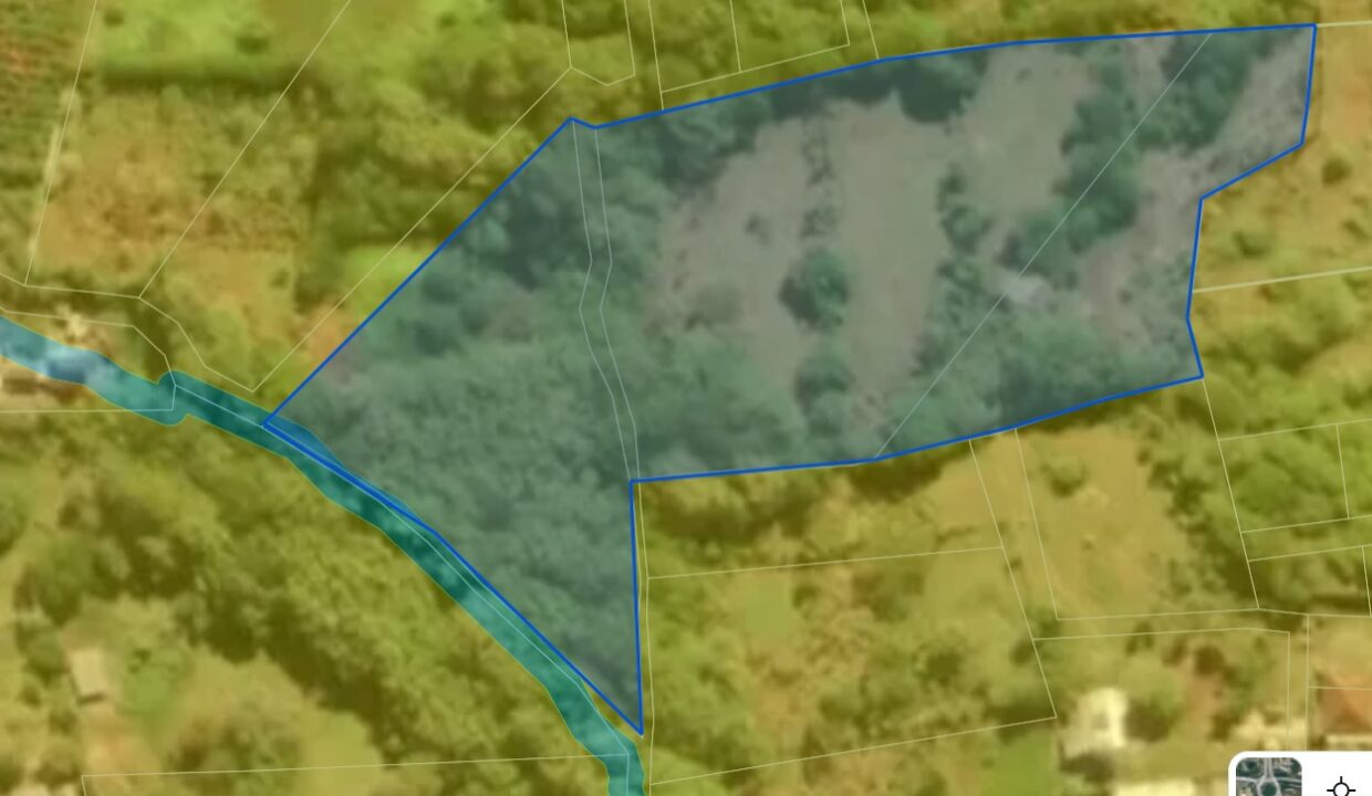 WhatsApp Image 2024-11-12 at 14.20.04