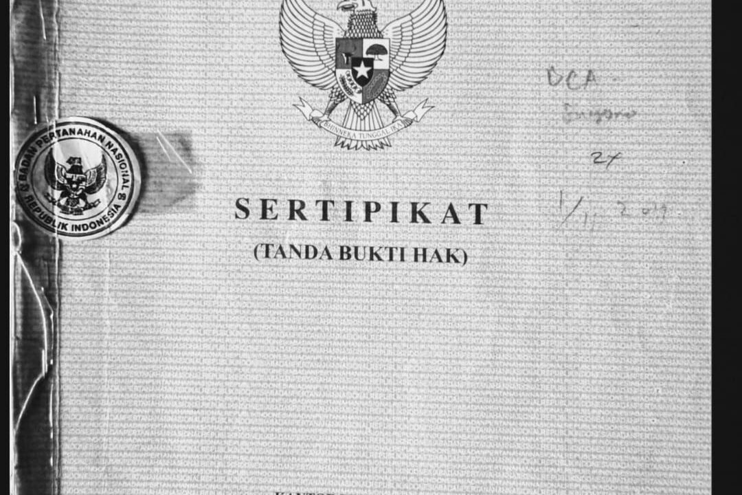 WhatsApp Image 2025-09-03 at 10.30.42 AM