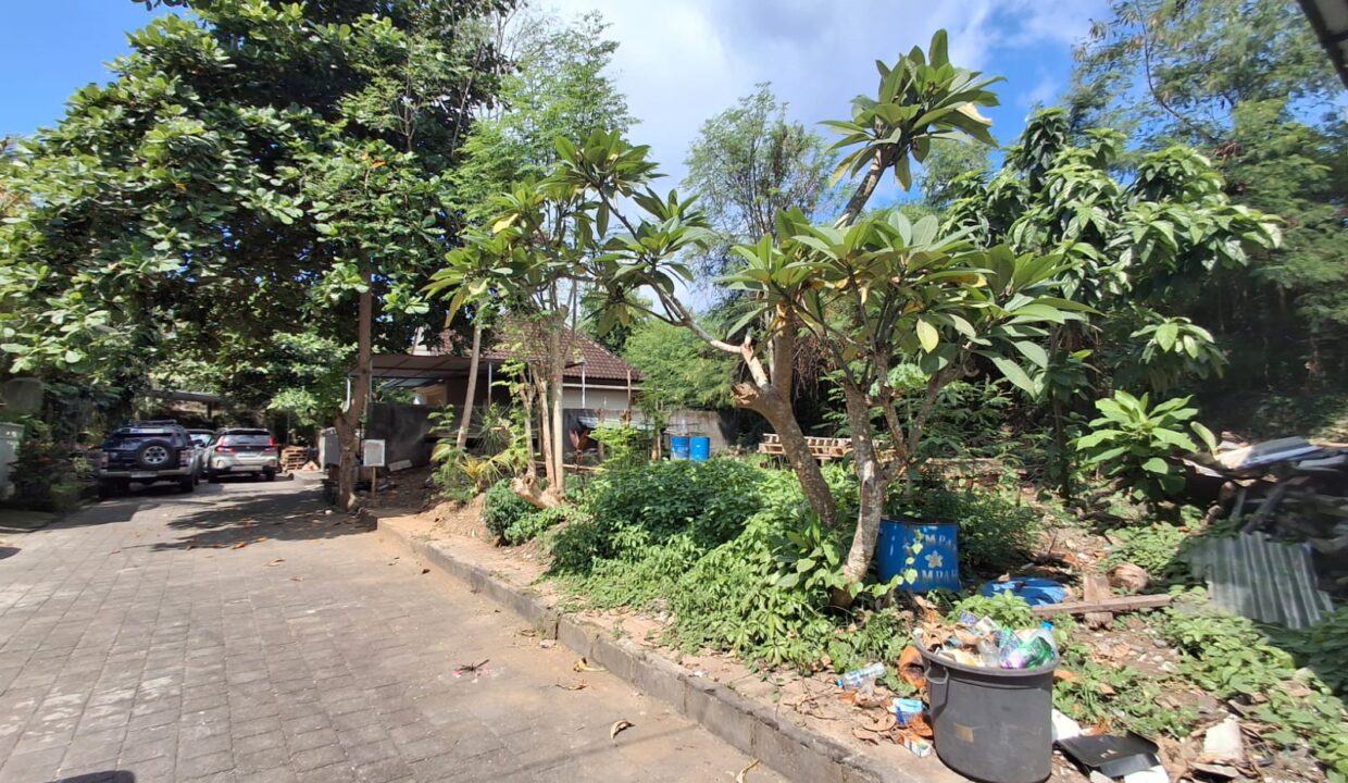 WhatsApp Image 2025-09-17 at 10.00.53 AM