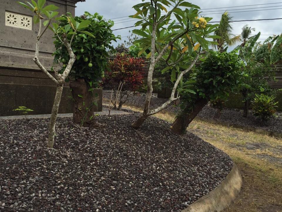 WhatsApp Image 2025-09-20 at 12.01.49 PM