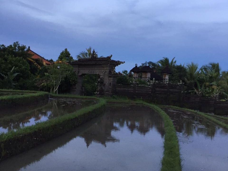 WhatsApp Image 2025-09-20 at 12.01.55 PM (1)