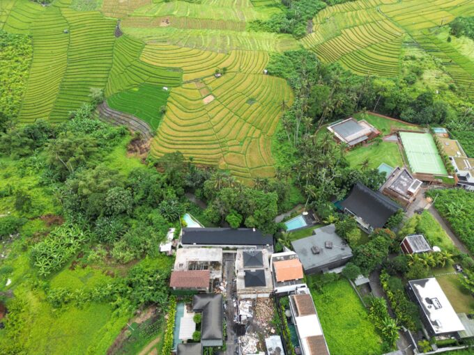 Amandine tumbah bayuh