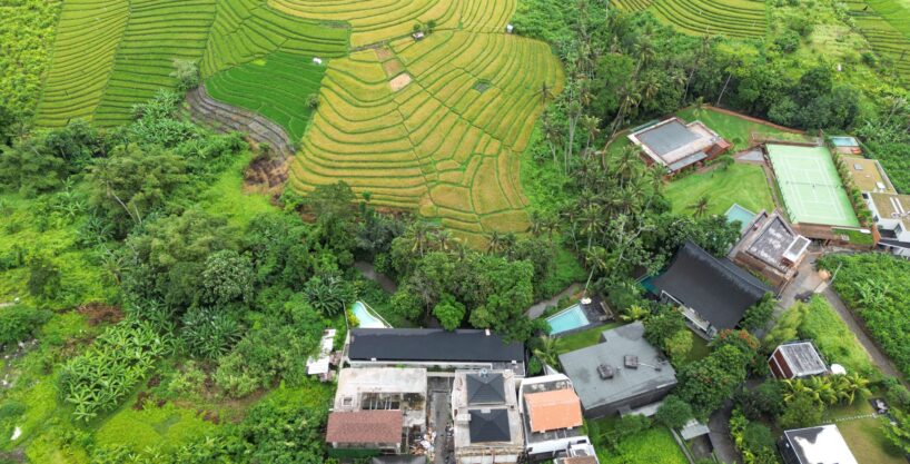 Amandine tumbah bayuh