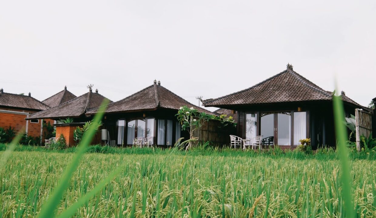 WhatsApp Image 2025-09-27 at 2.21.36 PM (1)