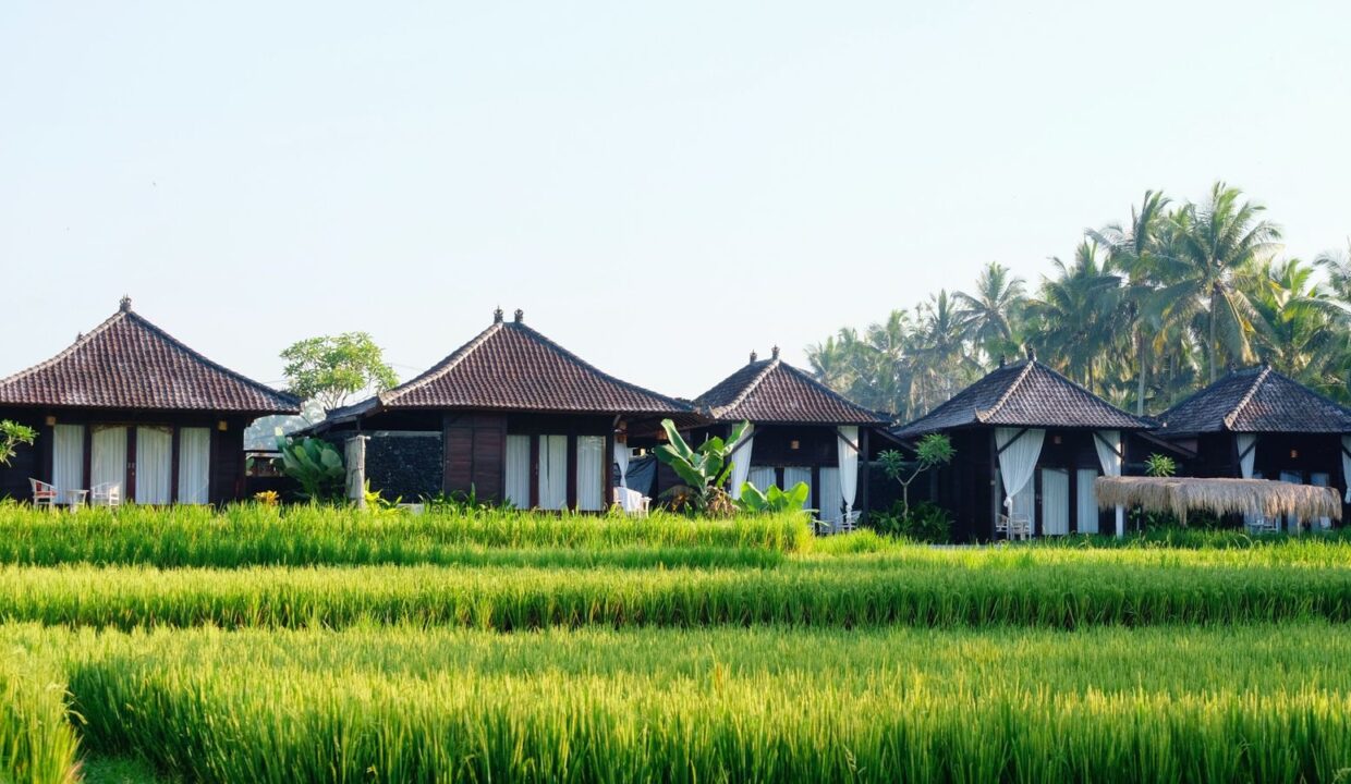 WhatsApp Image 2025-09-27 at 2.21.36 PM