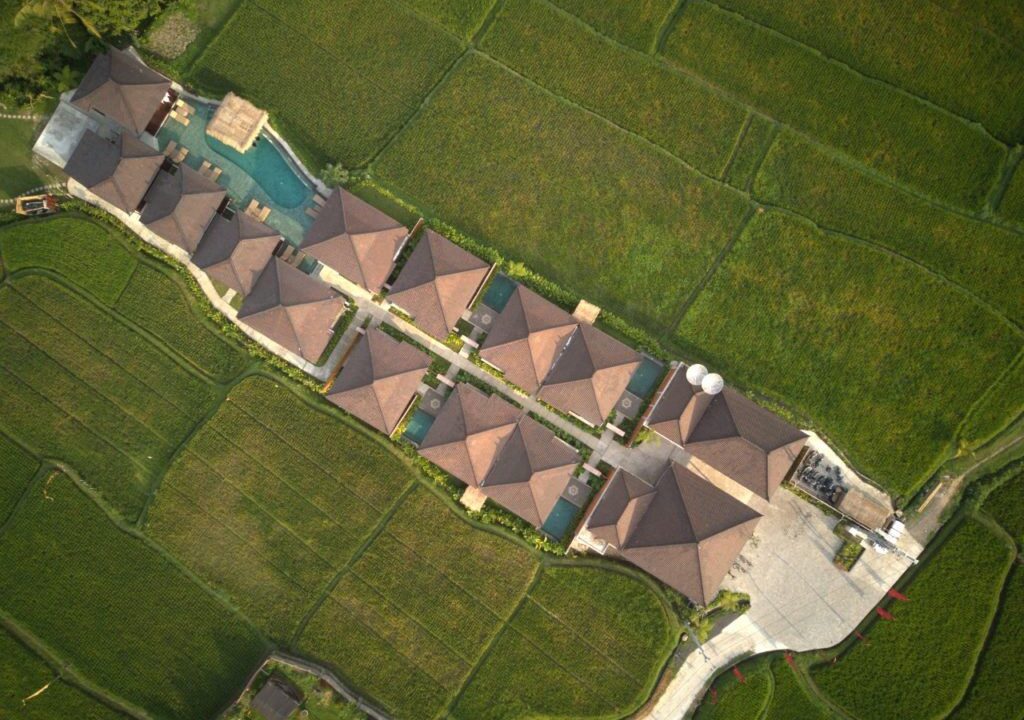 WhatsApp Image 2025-09-27 at 2.21.37 PM