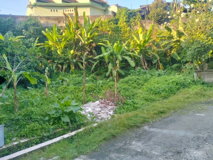 Dijual tanah murah lokasi Sading Badung