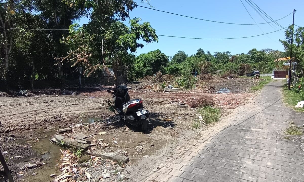 WhatsApp Image 2025-10-03 at 5.13.26 PM