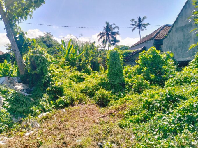 Dijual Tanah murah siap bangun Jl. Raya Negara, Batuan, Gianyar