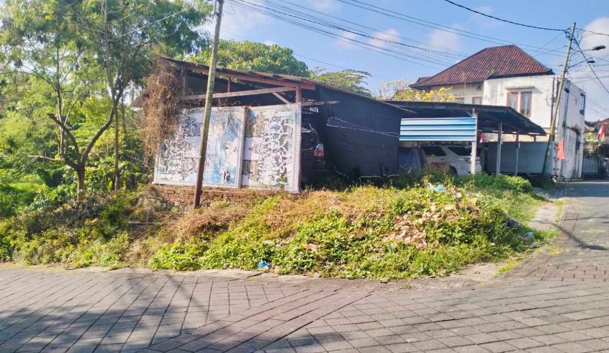 WhatsApp Image 2025-10-11 at 9.55.02 AM