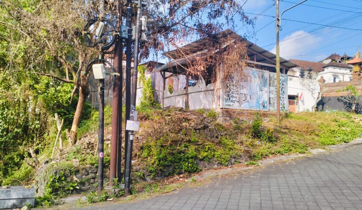 WhatsApp Image 2025-10-11 at 9.55.42 AM (1)