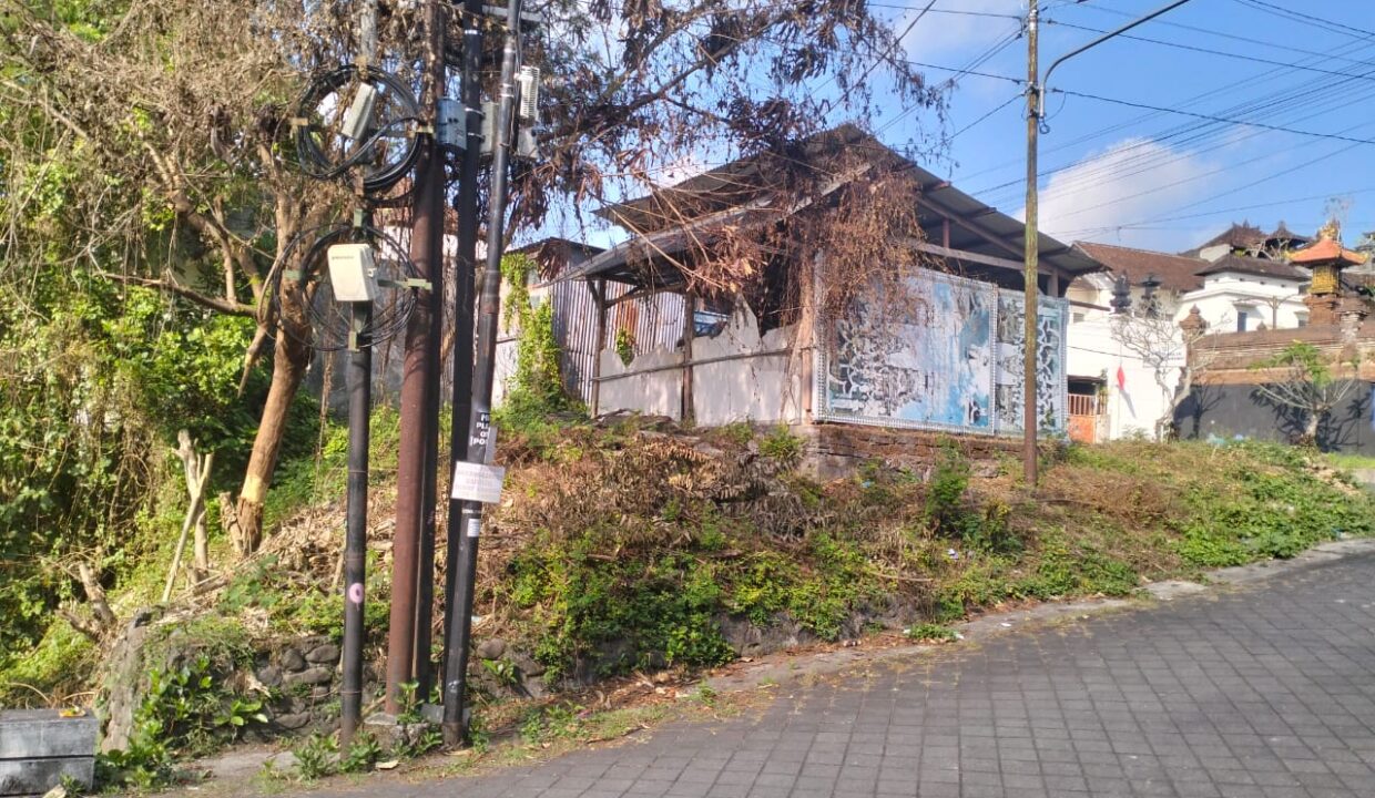 WhatsApp Image 2025-10-11 at 9.55.43 AM