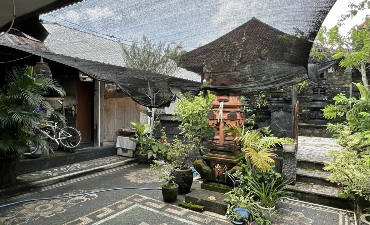 WhatsApp Image 2026-02-14 at 9.31.06 AM (1)