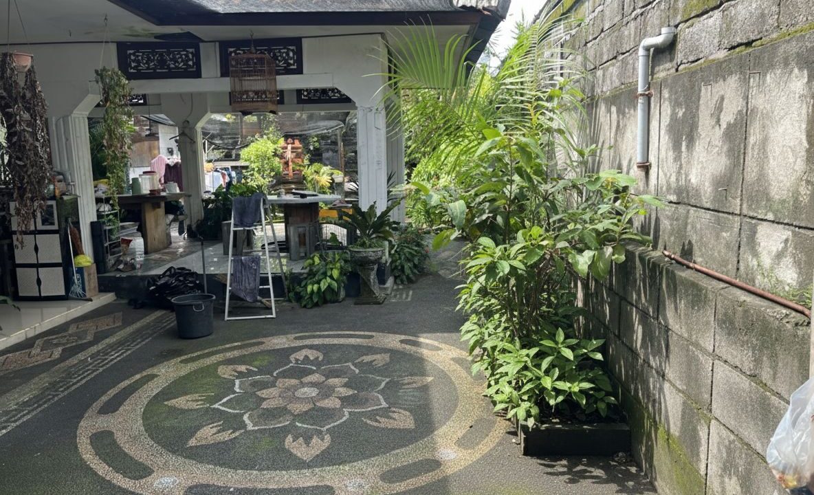 WhatsApp Image 2026-02-14 at 9.31.07 AM