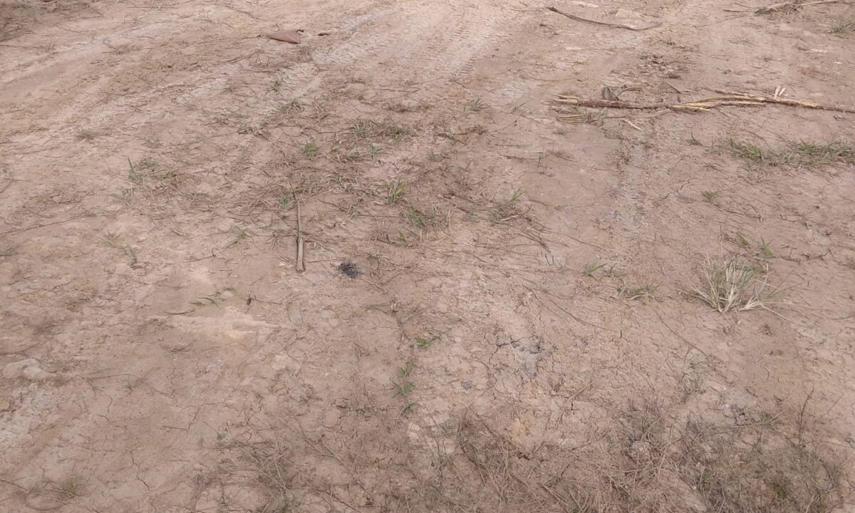 WhatsApp Image 2026-02-18 at 5.20.06 PM (1)