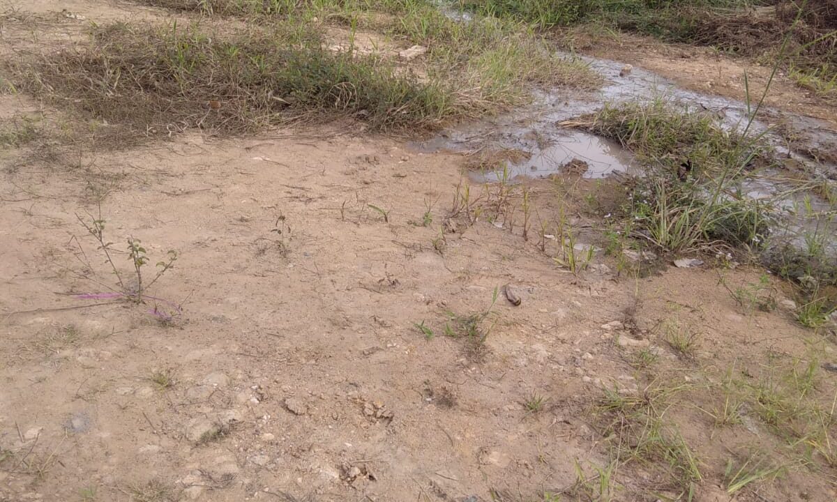 WhatsApp Image 2026-02-18 at 5.20.06 PM