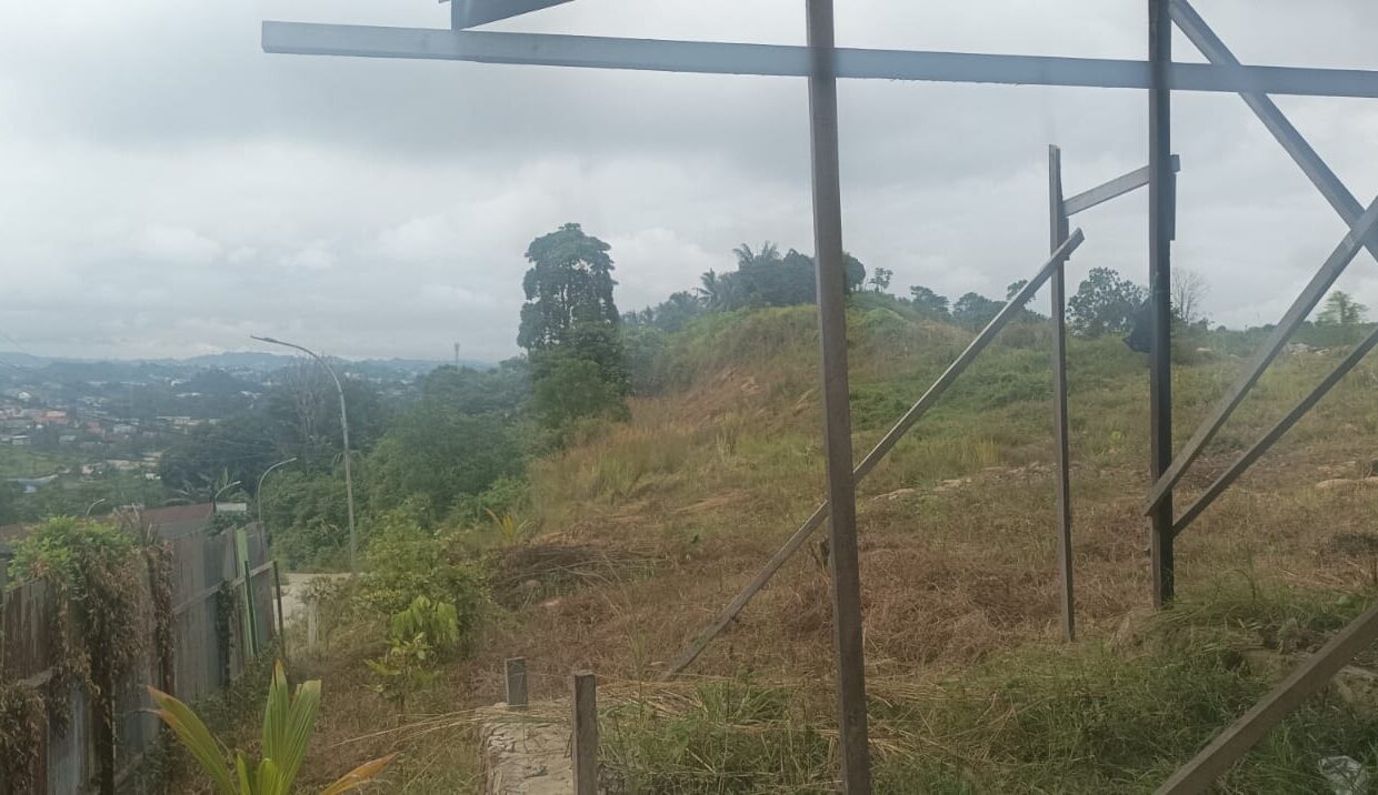 WhatsApp Image 2026-02-18 at 5.20.12 PM (1)