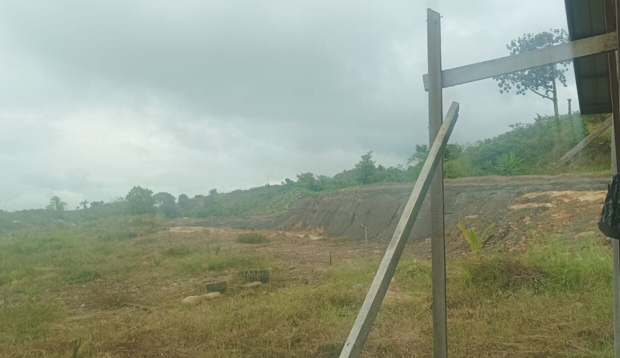 WhatsApp Image 2026-02-18 at 5.20.12 PM