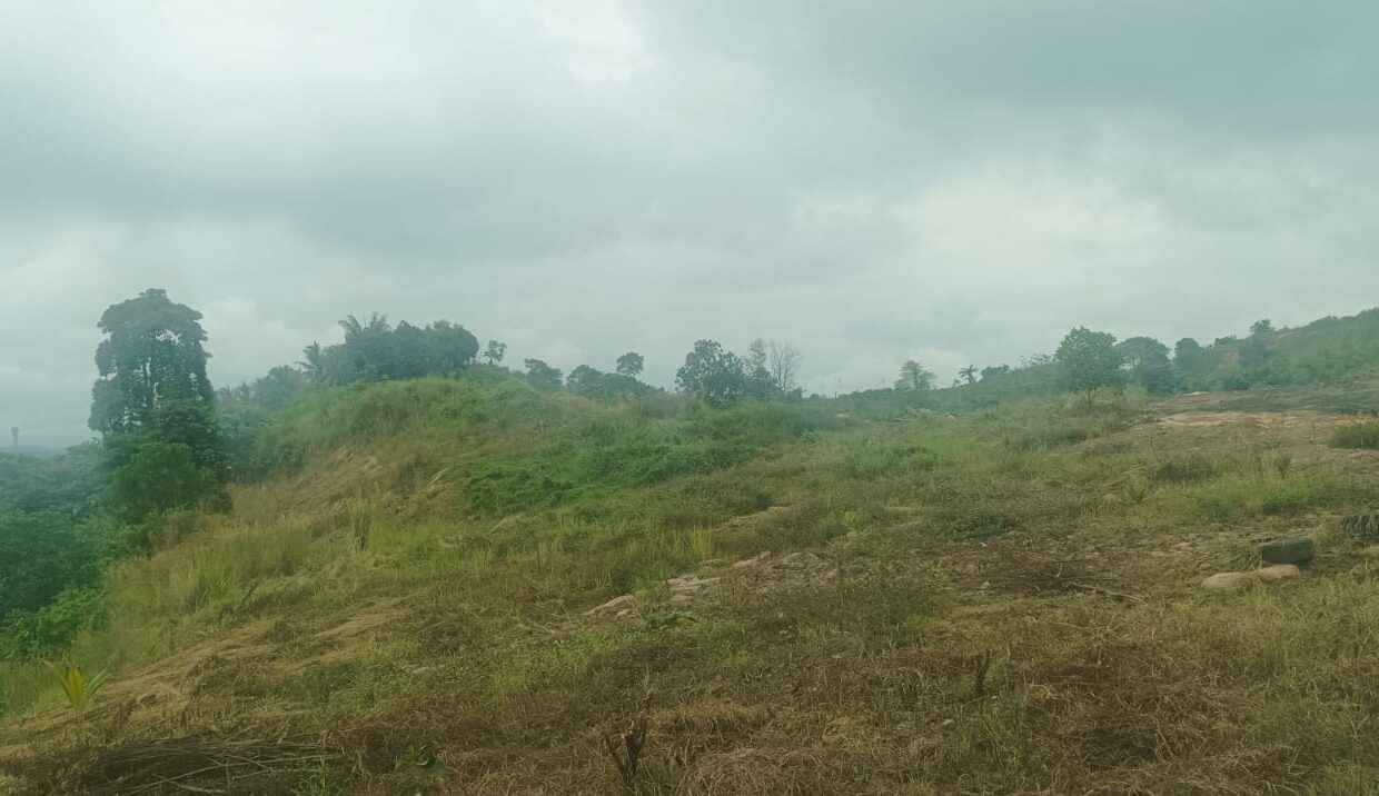 WhatsApp Image 2026-02-18 at 5.20.13 PM