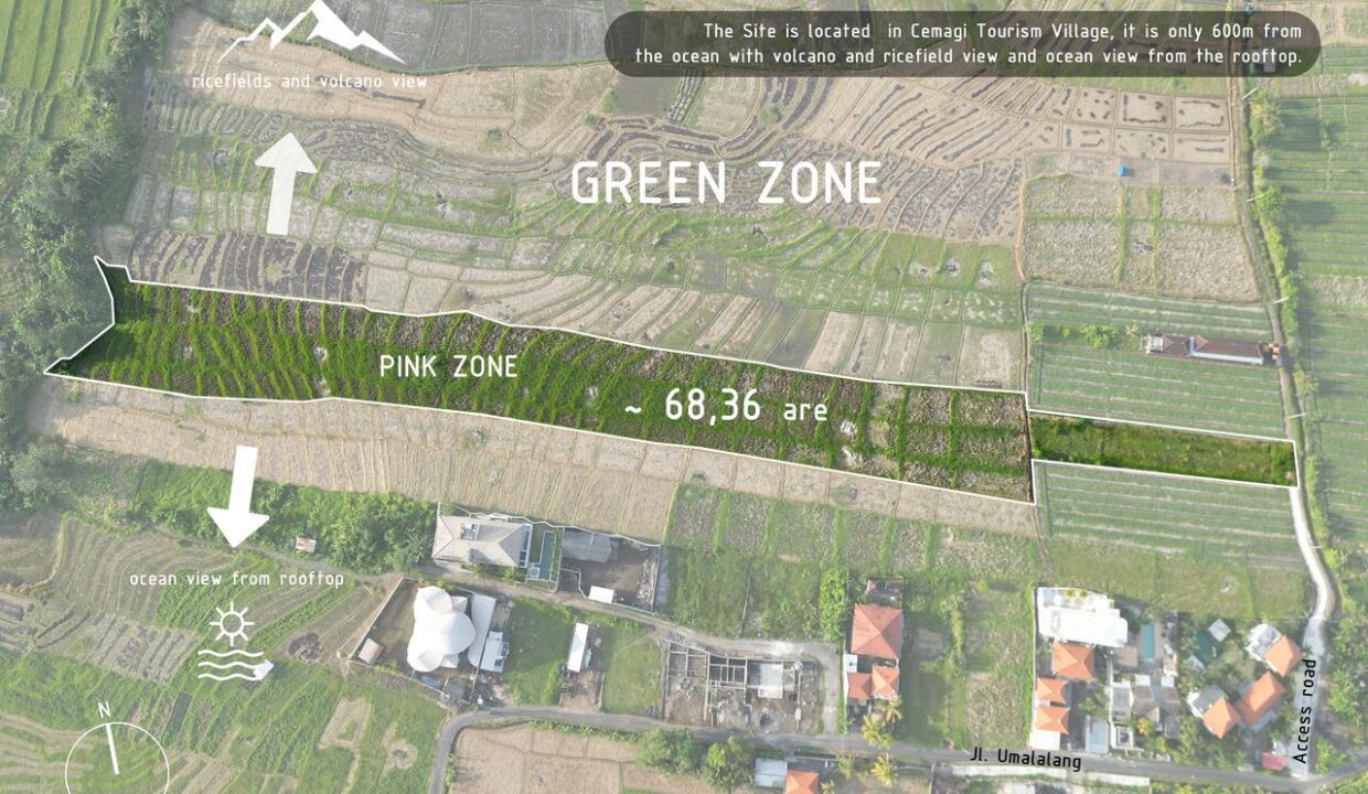 WhatsApp Image 2026-02-22 at 3.47.19 PM