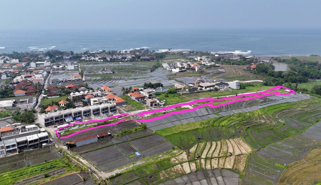 WhatsApp Image 2026-02-22 at 3.47.19 PM (2)